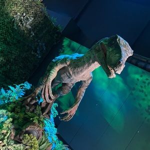 Meet your Posher, Sam